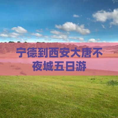 宁德到西安大唐不夜城五日游