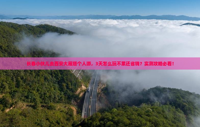 长春去西安大雁塔个人游