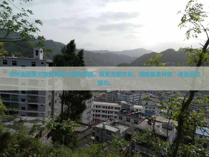 鄂州去西安大唐芙蓉园大型旅游团