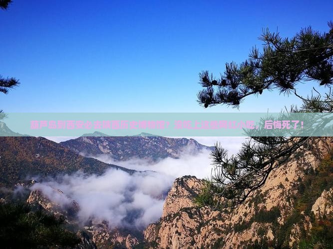 葫芦岛到西安陕西历史博物馆旅游小吃
