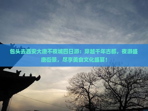 包头去西安大唐不夜城四日游