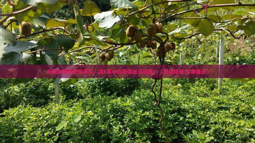 新乡到西安华清宫旅游小吃