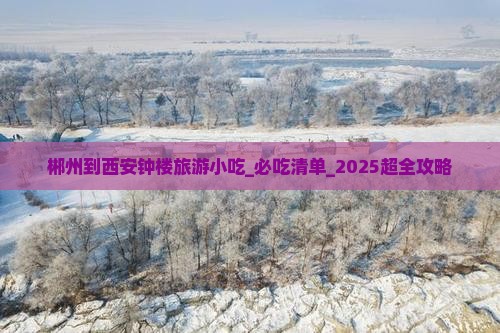 郴州到西安钟楼旅游小吃