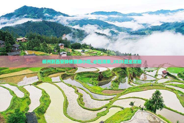郴州到西安钟楼旅游小吃