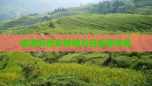 威海到西安钟楼五日游