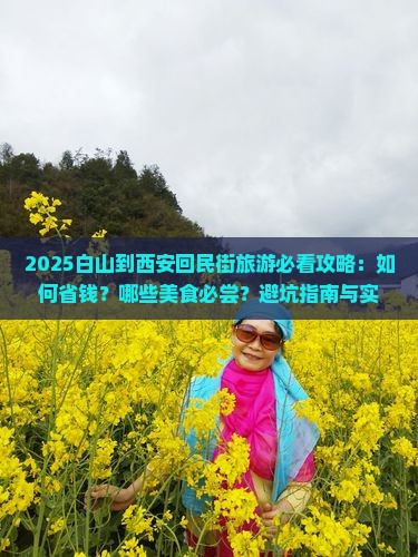 白山到西安回民街旅游