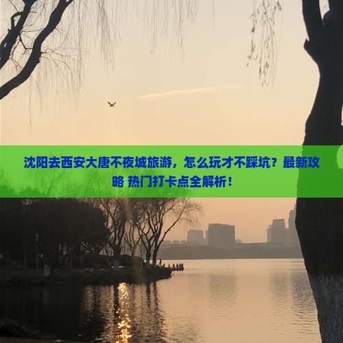 沈阳去西安大唐不夜城旅游