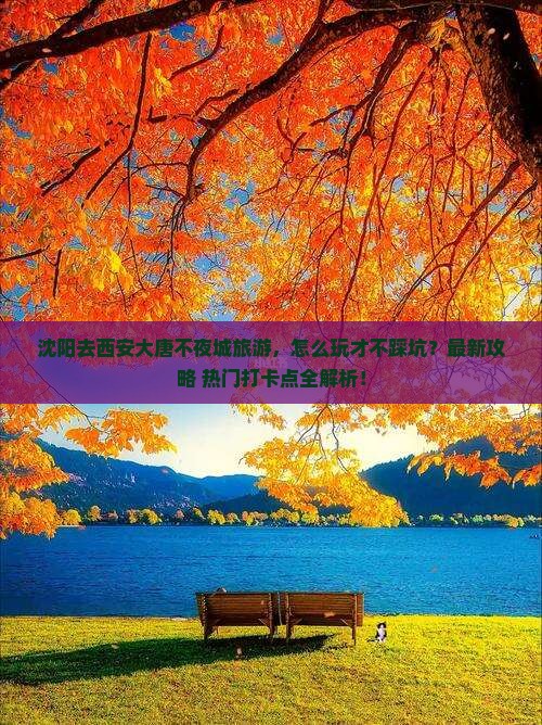 沈阳去西安大唐不夜城旅游