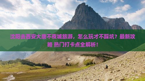沈阳去西安大唐不夜城旅游