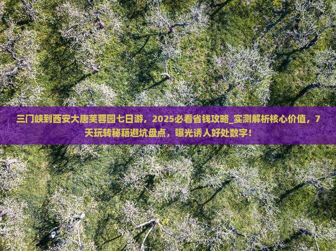 三门峡到西安大唐芙蓉园七日游
