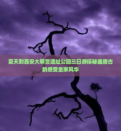 夏天到西安大明宫国家遗址公园三日游