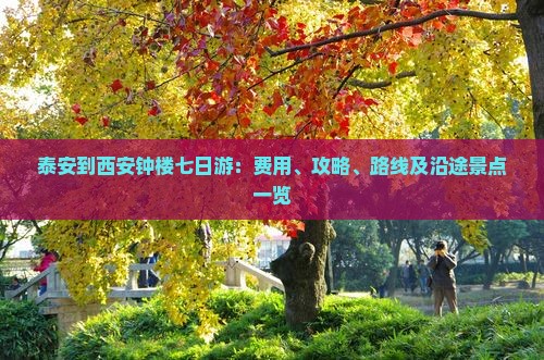 泰安到西安钟楼七日游
