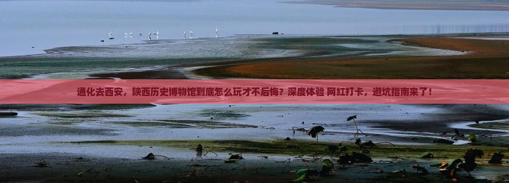通化去西安陕西历史博物馆哪里玩