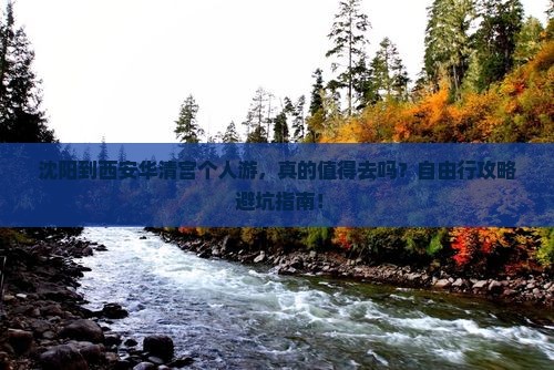沈阳到西安华清宫个人游