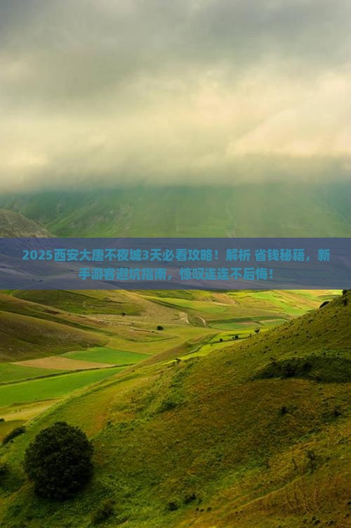 新乡去西安大唐不夜城旅游