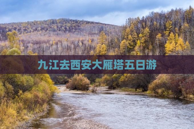九江去西安大雁塔五日游