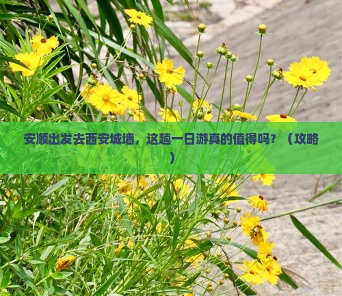 安顺去西安城墙一日游