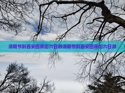 清明节到西安回民街六日游