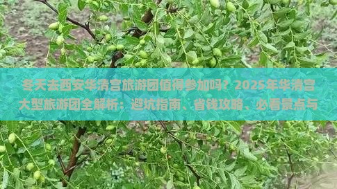 冬天到西安华清宫大型旅游团