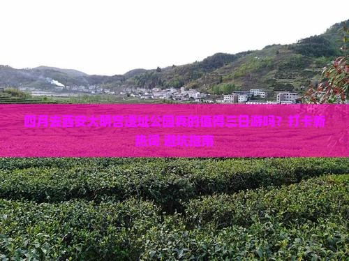 四月到西安大明宫国家遗址公园三日游