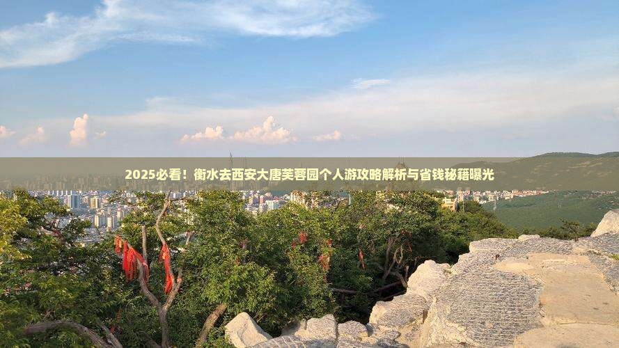 衡水去西安大唐芙蓉园个人游