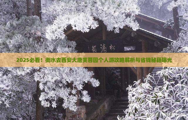 衡水去西安大唐芙蓉园个人游