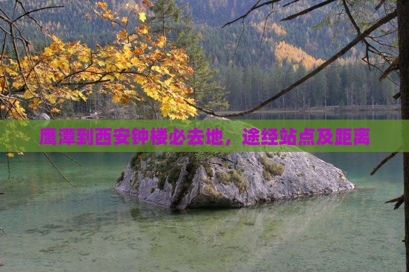 鹰潭到西安钟楼必去地
