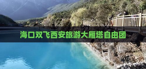 海口去西安大雁塔自由团