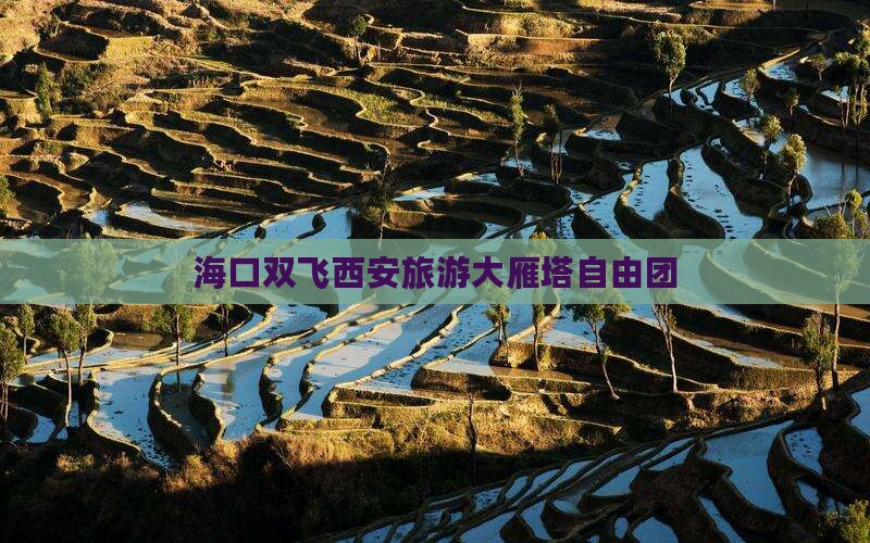 海口去西安大雁塔自由团