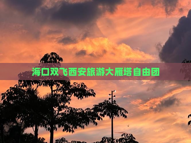 海口去西安大雁塔自由团