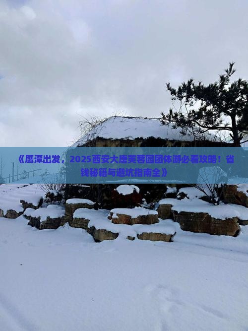 鹰潭去西安大唐芙蓉园团体旅游