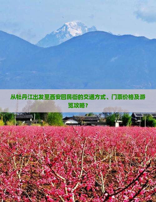 从牡丹江出发至西安回民街的交通方式、门票价格及游览攻略？