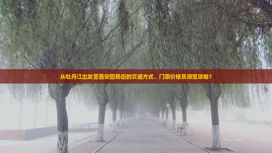 从牡丹江出发至西安回民街的交通方式、门票价格及游览攻略？