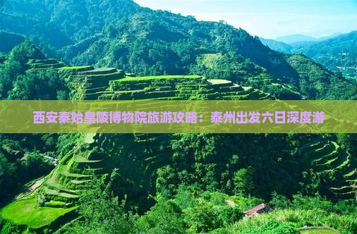 西安秦始皇陵博物院旅游攻略：泰州出发六日深度游