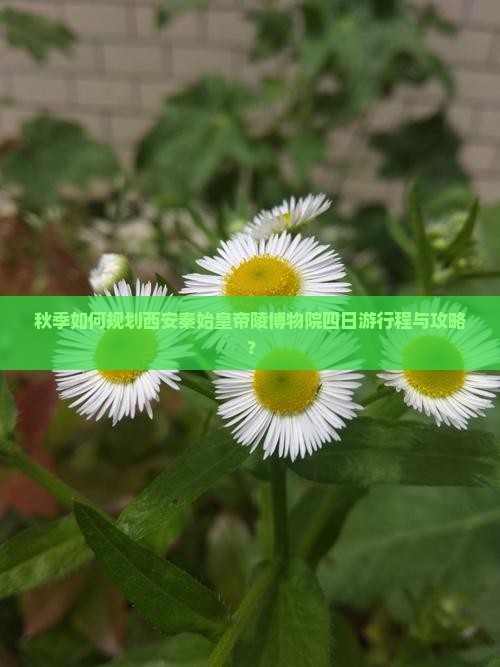 秋季如何规划西安秦始皇帝陵博物院四日游行程与攻略？