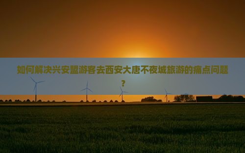 如何解决兴安盟游客去西安大唐不夜城旅游的痛点问题？