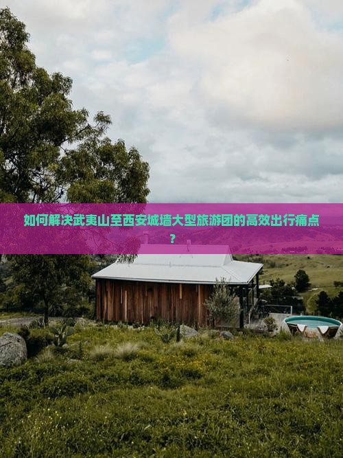 如何解决武夷山至西安城墙大型旅游团的高效出行痛点？