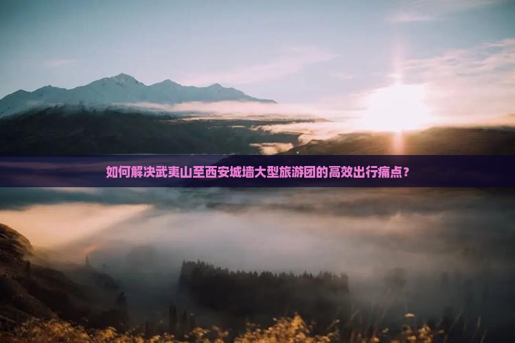 如何解决武夷山至西安城墙大型旅游团的高效出行痛点？