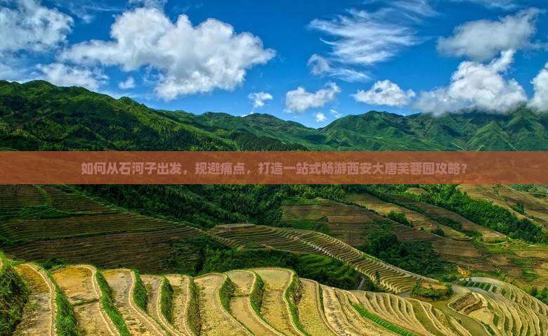 如何从石河子出发，规避痛点，打造一站式畅游西安大唐芙蓉园攻略？