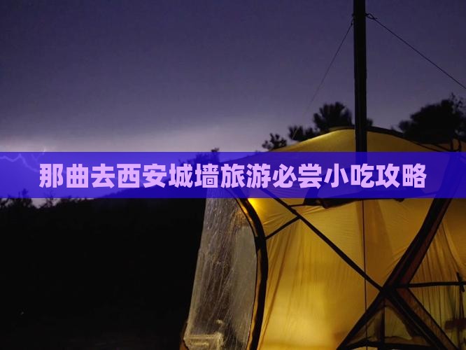 那曲去西安城墙旅游必尝小吃攻略