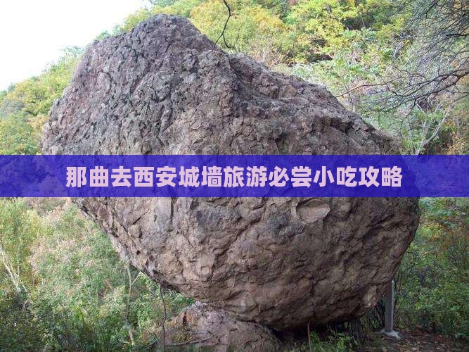 那曲去西安城墙旅游必尝小吃攻略