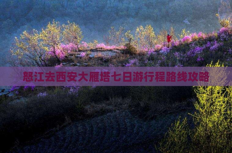 怒江去西安大雁塔七日游行程路线攻略