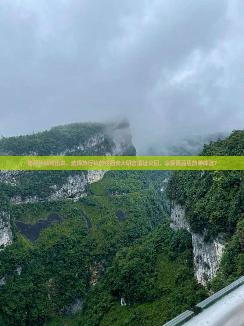 如何从赣州出发，选择旅行社前往西安大明宫遗址公园，享受高品质旅游体验？