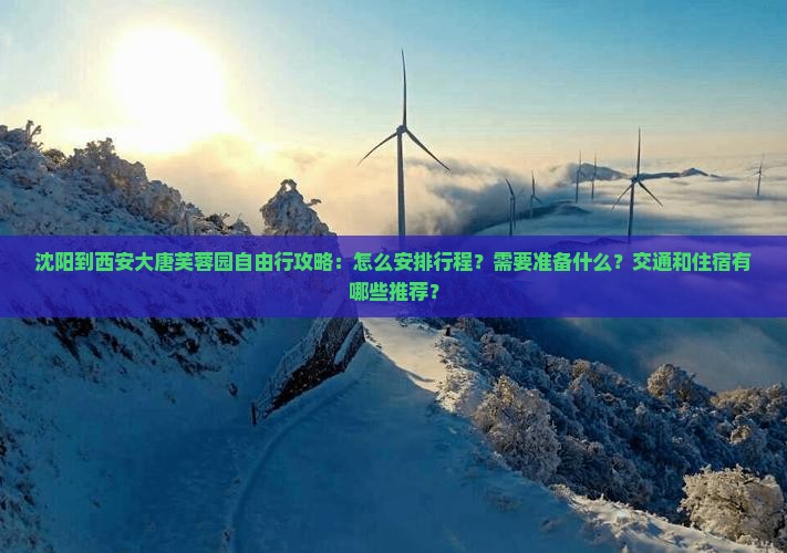 沈阳到西安大唐芙蓉园自由行攻略：怎么安排行程？需要准备什么？交通和住宿有哪些推荐？