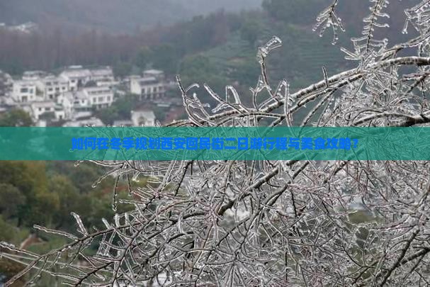 如何在冬季规划西安回民街二日游行程与美食攻略？