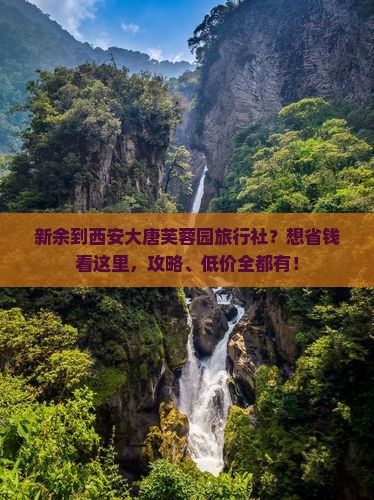 新余到西安大唐芙蓉园旅行社？想省钱看这里，攻略、低价全都有！