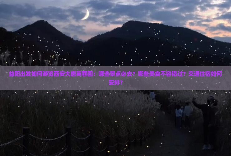 益阳出发如何游览西安大唐芙蓉园：哪些景点必去？哪些美食不容错过？交通住宿如何安排？