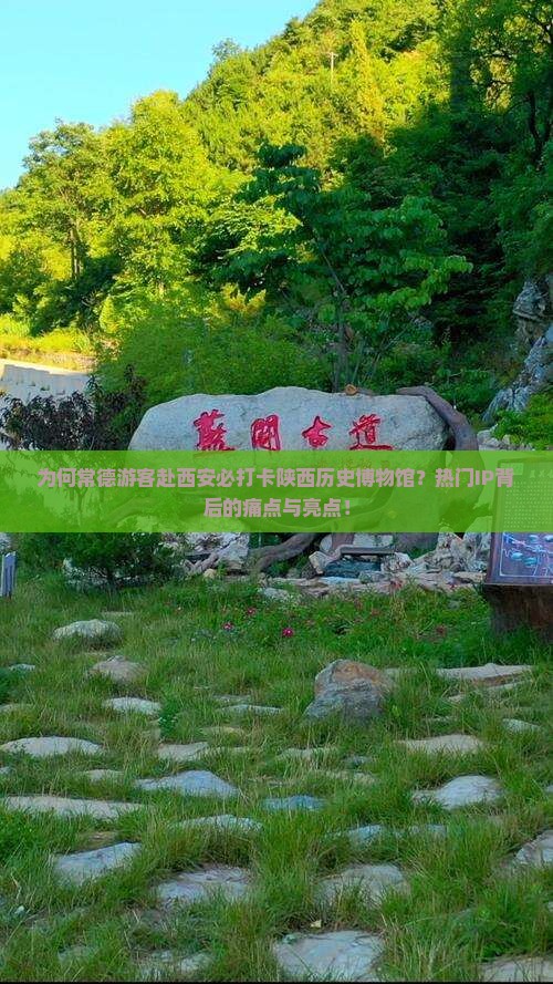 为何常德游客赴西安必打卡陕西历史博物馆？热门IP背后的痛点与亮点！