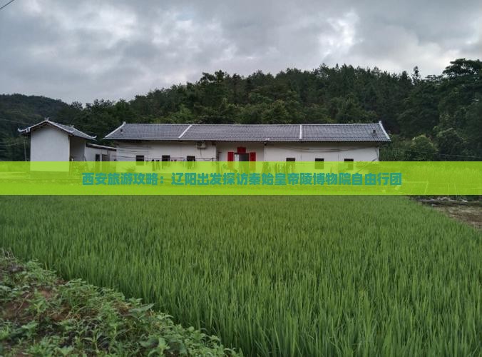 西安旅游攻略：辽阳出发探访秦始皇帝陵博物院自由行团
