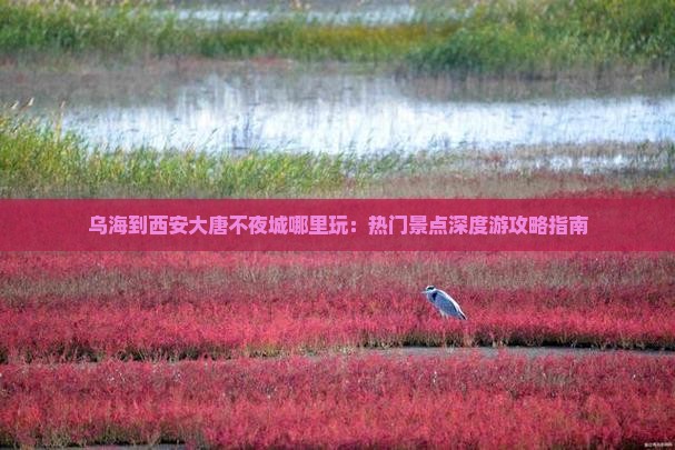 乌海到西安大唐不夜城哪里玩：热门景点深度游攻略指南